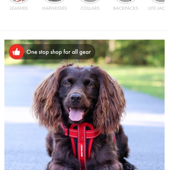 EZYDOG dog harness for small dog 5-8 pounds. New and never used - Picture 5 of 5